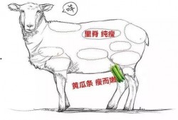 吃瓜羊揭秘,探寻网络红人的幕后故事