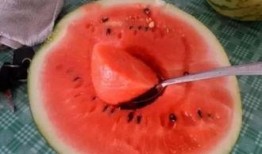 奇妙的吃瓜下载,揭秘下载背后的奇妙世界