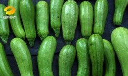 可以吃白瓜吗,白瓜的营养价值与食用指南