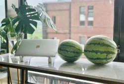 每天吃西瓜和哈密瓜,西瓜与哈密瓜的甜蜜日常