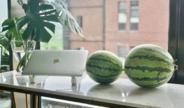 每天吃西瓜和哈密瓜,西瓜与哈密瓜的甜蜜日常