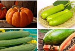 立秋吃哪四瓜,四瓜相伴，养生美味两不误