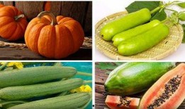立秋吃哪四瓜,四瓜相伴，养生美味两不误