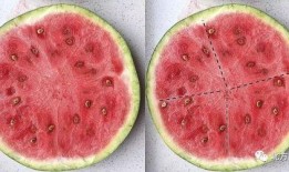 吃瓜去籽,揭秘娱乐圈的真相与八卦