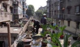 嘉兴硖石街道吃瓜