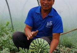 最近吃瓜入口在哪里,近期热门“吃瓜”入口大追踪