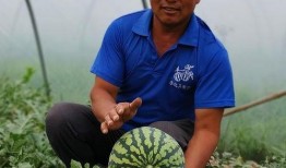 最近吃瓜入口在哪里,近期热门“吃瓜”入口大追踪