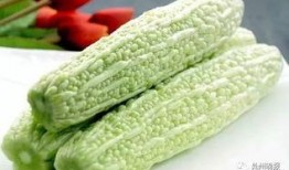 厦门情侣吃瓜,共享悠闲时光