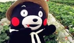 oni熊吃瓜最新,揭秘娱乐圈最新热点事件