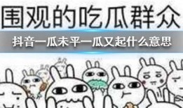 抖音ex吃瓜,揭秘热门话题背后的真相与笑料