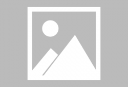 秃崽吃瓜夸克,揭秘网络红人的趣味生活