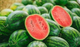 代奔现吃瓜,揭秘网红直播背后的秘密