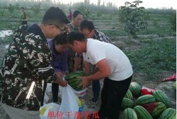 吃瓜群众给力,揭秘娱乐圈幕后真相