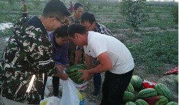 吃瓜群众给力,揭秘娱乐圈幕后真相