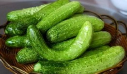 吃瓜颂,揭秘娱乐圈的甜蜜与苦涩