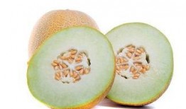 吃冬瓜后吃哈密瓜好吗