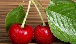 吃瓜樱桃事件,揭秘网络谣言背后的真相