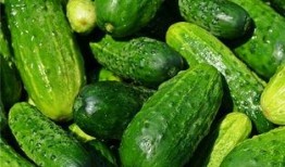 白天做梦梦见吃瓜,白天梦境中的瓜果盛宴