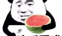 吃瓜别人,吃瓜群众眼中的明星生活