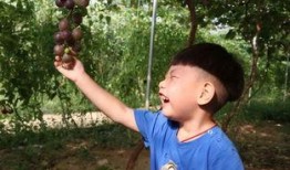 全职宝妈吃瓜,揭秘育儿圈那些事儿