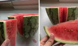 假吃瓜真吃瓜下一句,网络舆论背后的真相与反思