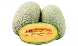 吃发霉的哈密瓜,揭秘食用发霉哈密瓜的风险与应对