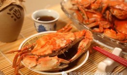 螃蟹吃瓜视频大全,趣味横生的海洋美食秀