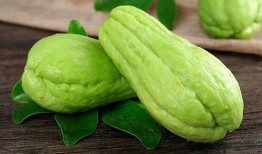 水玲珑吃瓜,一场甜蜜的消暑之旅