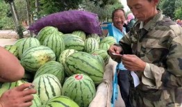 负瓜怎么吃,解锁美味新体验