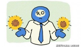 知乎画画吃瓜,网络舆论场中的趣味与争议