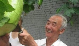 老大爷砍瓜吃瓜视频,这才是真正的吃瓜群众！