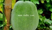 女感染艾滋吃瓜,吃瓜群众如何正确看待与关爱