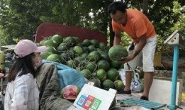 济宁附中吃瓜,一场“吃瓜”事件背后的真相揭秘