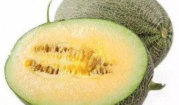 家里一直吃的瓜叫啥瓜,揭秘我家常吃的那款神秘瓜名