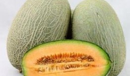 小伙吃哈密瓜视频,小伙挑战美味，尽享夏日清凉