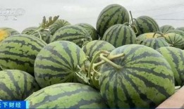 梦见别人吃瓜很香,瓜香四溢，揭秘梦中他人美食之旅