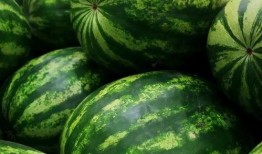 吃瓜的多了好吗,真相背后的热议焦点