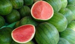 西瓜从小瓜到大瓜多久可以吃,从嫩瓜到熟瓜的蜕变之旅