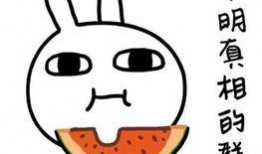 吃瓜不信瓜是谣言吗,谣言还是真相？