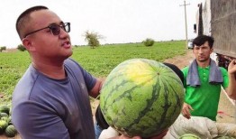 偃师最新吃瓜新闻,揭秘当地热点事件背后的真相