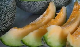 带你吃瓜奇葩夏天,带你领略那些“吃瓜”奇葩事件