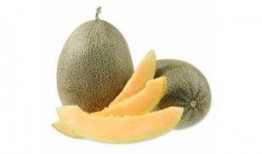 每天吃西瓜和哈密瓜,西瓜与哈密瓜的甜蜜日常