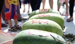 万嘉吃瓜大赛,一场舌尖上的狂欢盛宴