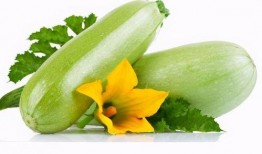 人才宿舍天天吃瓜,人才宿舍里的欢乐时光