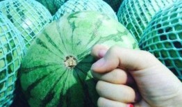 在线吃瓜原创,揭秘网络“吃瓜群众”背后的狂欢与反思