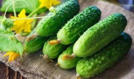 缠花吃瓜,揭秘古代宫廷中的雅趣生活