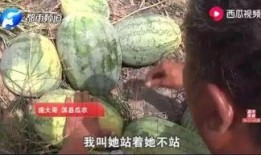 偃师最新吃瓜新闻,揭秘当地热点事件背后的真相