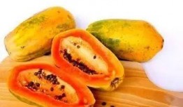 吃蜜瓜肚子胀气,揭秘吃蜜瓜肚子胀气之谜