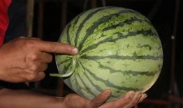 延津吃瓜视频大全,揭秘当地特色美食与风土人情