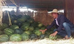 昆明公园吃瓜,消暑解馋，共享悠闲时光